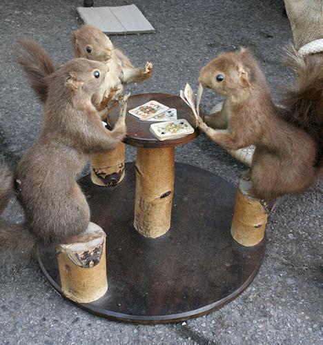 Squirrel Poker - Man these guys can kick your a$$ in this game anytime!