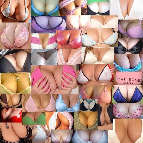 booobbbiiieeess! - see if you can spot which ones are mine....