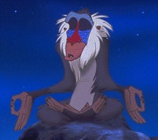 Rafiki - The most amazing baboon in the fictional world!