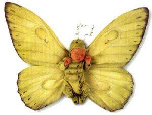 yellow butterfly baby - butterfly baby