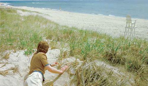 The Door in the Floor - Is a 2004 American drama film written and directed by Tod Williams.