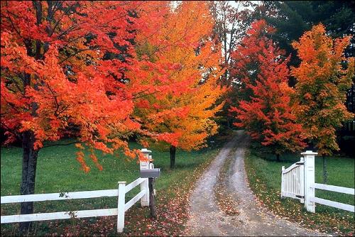 Fall Foliage in New England - The changing of the colors