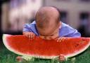 watermelon  - sweet