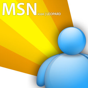 msn icon - the favicon of MSN.
