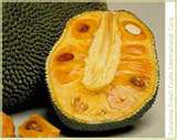 Jack fruit - Where does it come from ?