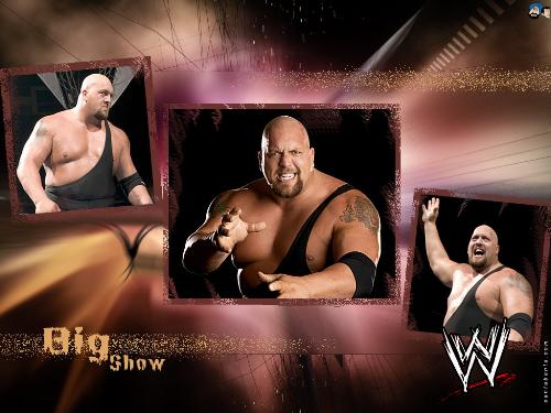 Big Show - The tallest and heaviest wrestler in WWE.