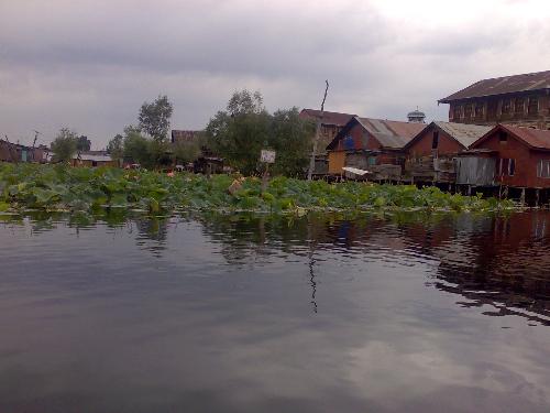 dal lake - vast dal lake with boat residential layouts
