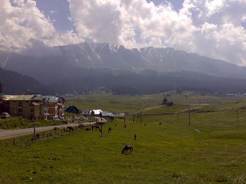 gulmarg - flower valley at gulmarg