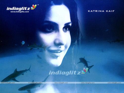 Blue movie in Hindi - Dazzling Katrina Kaif's new look is hot in water blue