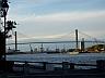 scenic photo of savannah, ga - Taken along the beautiful Savannah River while doing some sightseeing with my best friend and her family.