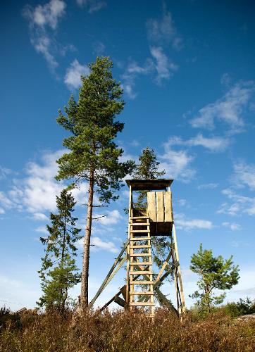 Hunting tower - This tower is located not far from where I love, half an hour on foot in a woody area. I do not enjoy very much passing it during the hunting season, as there's always a fat and / or lazy weekend warrior sitting up there with his rifle and staring at me when I scare off whatever targets may be foolish enough to move across his path. The poor hunters must walk several YARDS to get there from the main path. Oh my. Another photographer was shot by 'accident' not far from where I live, last week. Kind of makes me wonder...