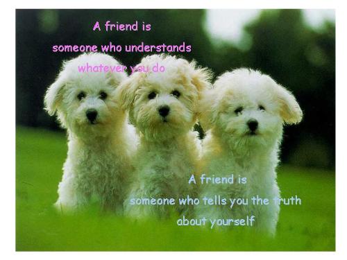 dogs - three white puppies on the green grass