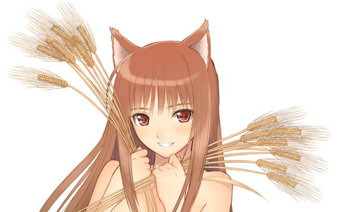 anime - Ookami to Koushinryou