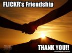 honest friend - freindship