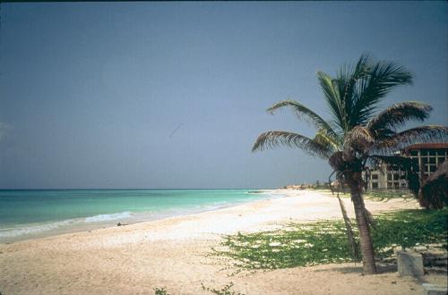 nature - tha beach