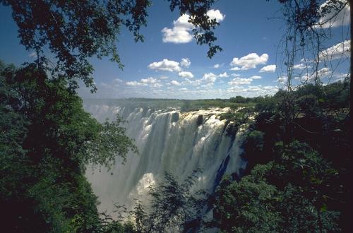 nature - nice pic