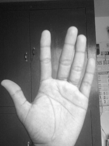 Palm - He becomes poor who works with lazy hand, but hand of diligent brings wealth.
