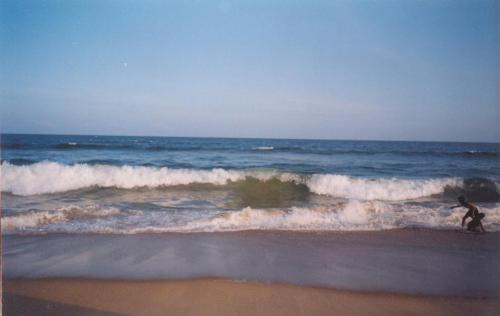 Marina Beach - Chennai - This is the photo of Marina Beach - Chennai 10 days before the Tsunami hit it 4 years back.