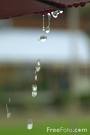 Rain - I can find my happiness in the rain Let my mind wander freely And the Earth stands beneath me Being cleansed of its sin