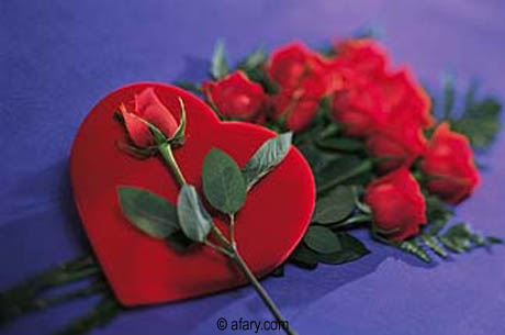 love - love roses