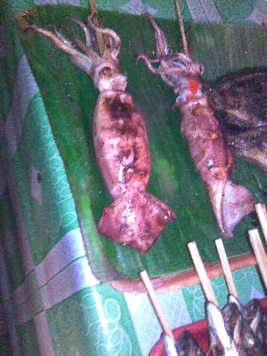Squid - This are squids