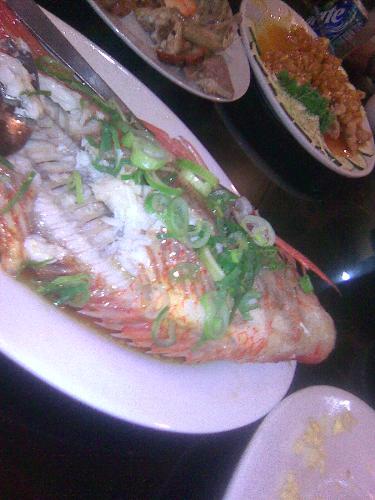Lapulapu - this is lapulapu Lapulapu - this is lapulapu