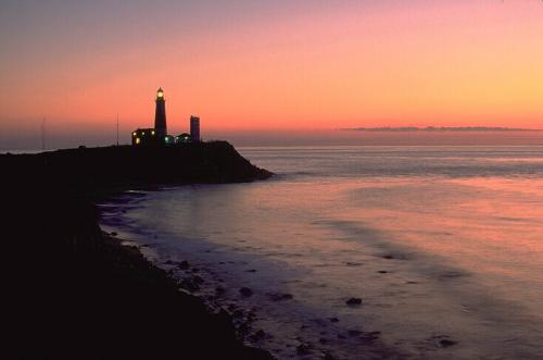 nature - the sunset