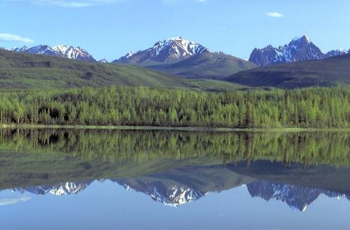 nature - nice pic