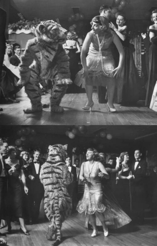 old style dance party  - dancing with the tiger ..