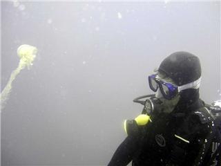 jelyyfish n me - Perhentians island malaysia,freelancing as scuba instructor n had this photo op