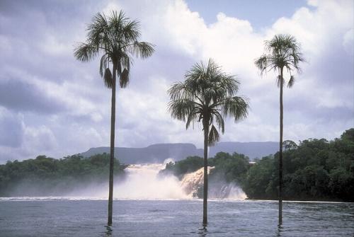 nature - nice falls