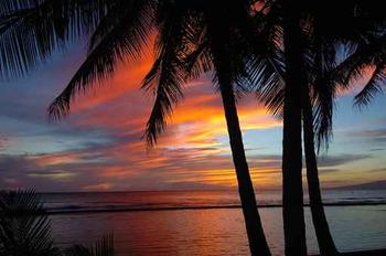perfect Island - You found the perfect Island,who would you bring to live with you there