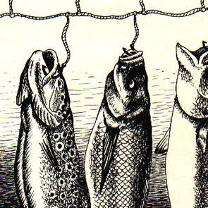 Fish feel pain: - i gave up fishing along time ago. i would rather go catching. and how much did it cost tax payers to finds this out? i do not eat much fish. i do not care for most. so i'm more into the hooking and wounding and releasing thing.