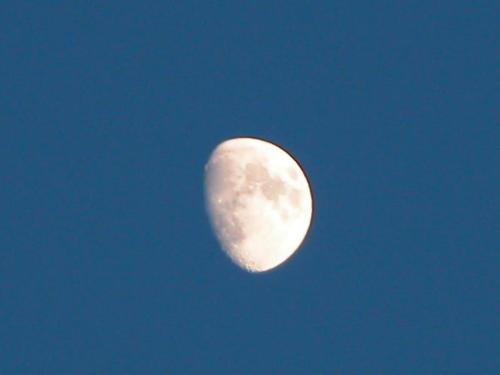 moon - what is quarter moon and half moon?
