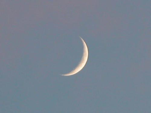 half moon - HAlf moon for what?