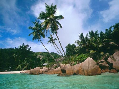 beach - Have yiu been to paradise like this?