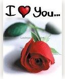 give & propose uour girl friend - love rose, give & propose uour girl friend