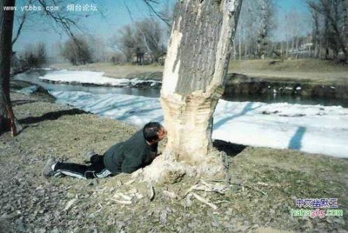 Funny picture - funny picture