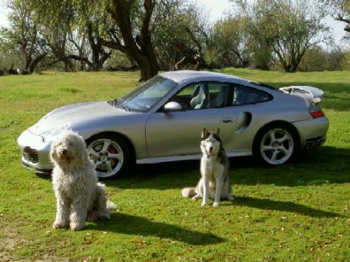 we r guarding - our brand new car