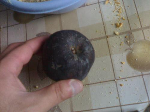 apple - Rotten apple it`s even a black apple