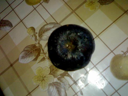 black apple - Rotten black apple