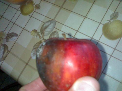 Half rotten apple - rotten apple . Half it`s glood ,and the other half it`s rotten , but it`s an 100% ecologic apple .