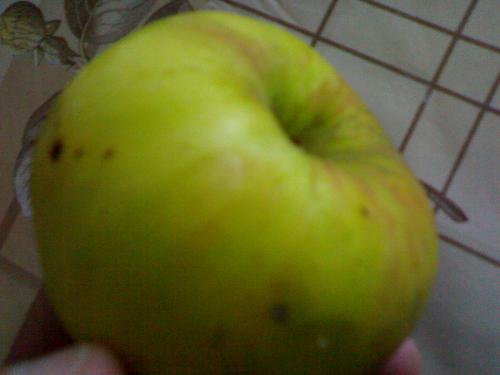 perfect golden apple - This it`s a perfect golden apple, from Romania and it`s 100% ecologic