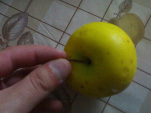 good looking golden apple - this it`s a nice golden apple, and it`s so sweet .