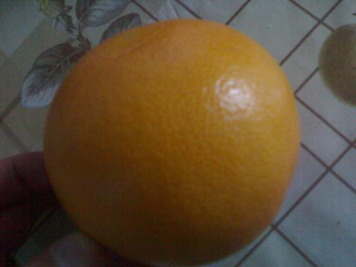 nice greapfruit - this fruit can`t be sweet, but it`s so nice
