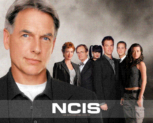 NCIS Season 4 - Ahhh... Remember the old director. I liked her. At least gibs is still the same.