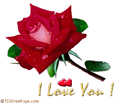 lover - i love you