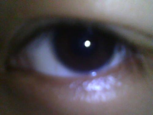the eye - this is an image of the eye. with the eye we see all the wonderful things in this world.