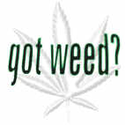 weed - not so good!!!!