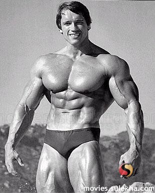 Arnold Swcharzenegger, bodybuilder - Here is a photo of Arnold Swcharzenegger at his peak condition! Take a look at the perfection of symetry and propotions!